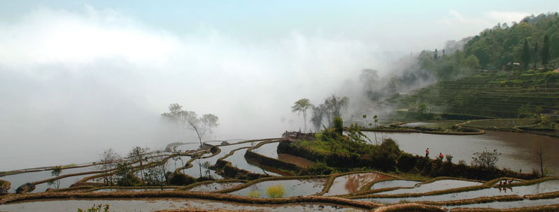 云扶梯、田携景 摄影 见贤思齐