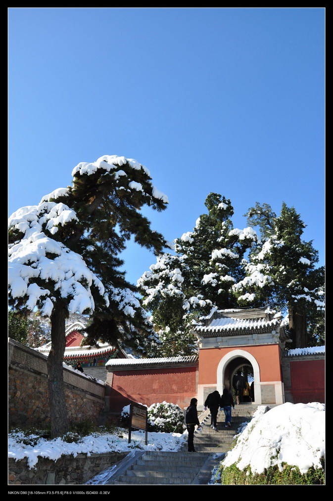 雪后香山小景 摄影 美景守望者