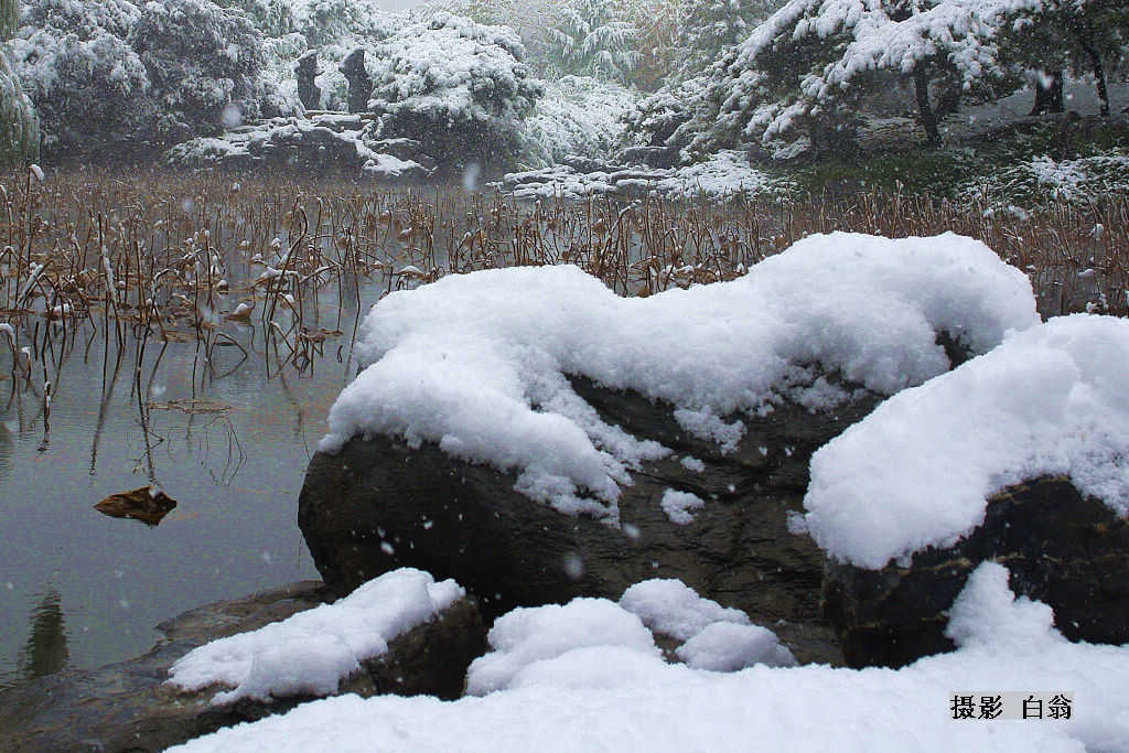 紫竹院雪景 摄影 白翁liz