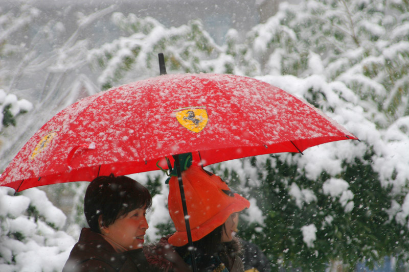 小区雪韵！ 摄影 寒梅傲雪