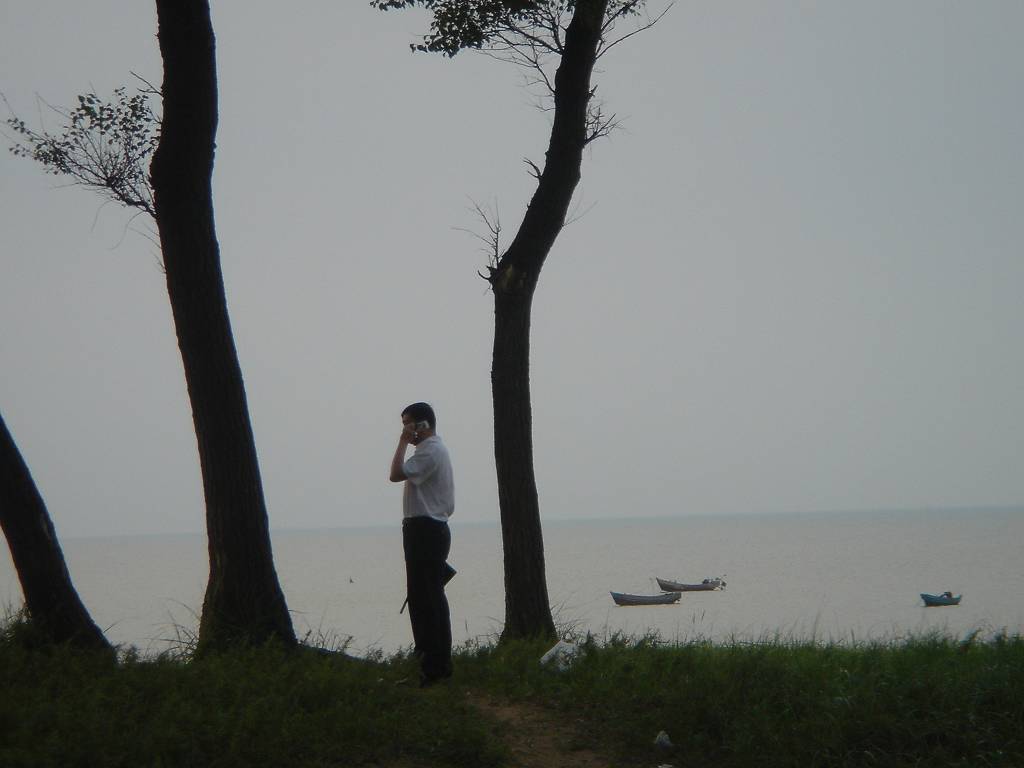 聆听 摄影 秋叶雨荷