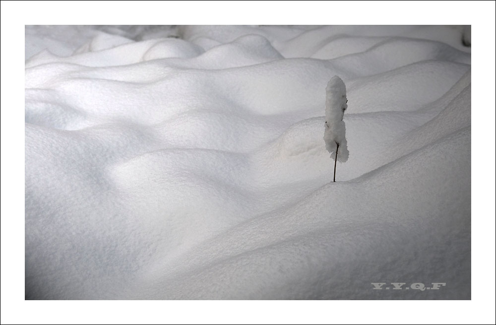 雪色光影 摄影 原野清风