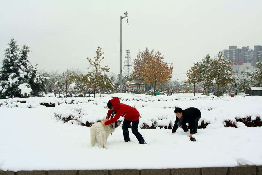 雪浴 摄影 蒿子