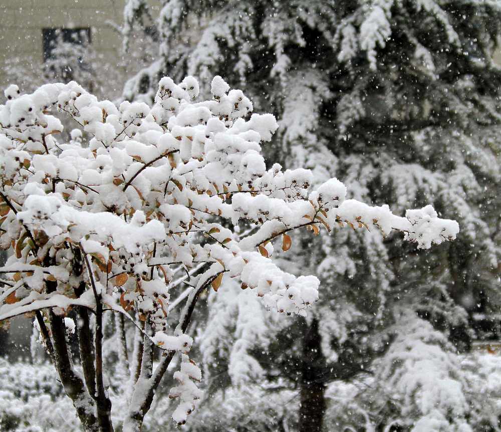 京城瑞雪 摄影 三人