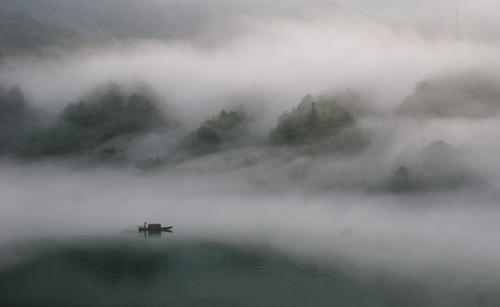 晨曲 摄影 陈林峰