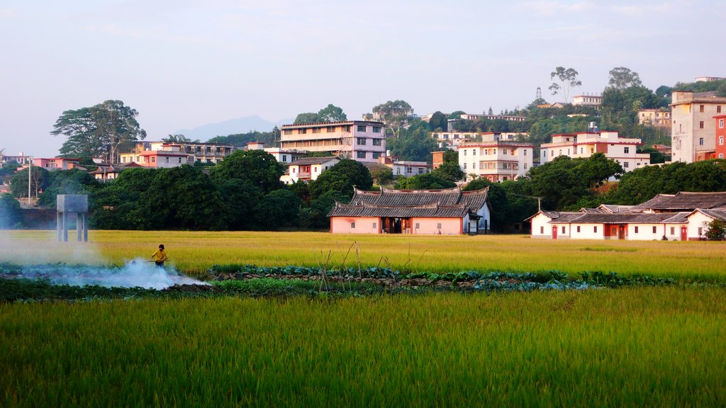 乡间景色 摄影 陈醋