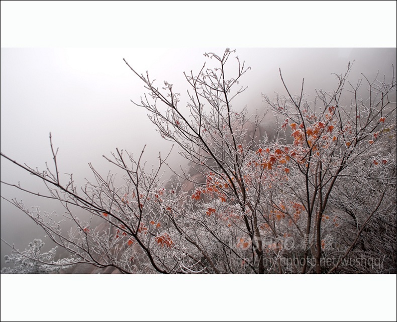 初雪 摄影 松涛一石