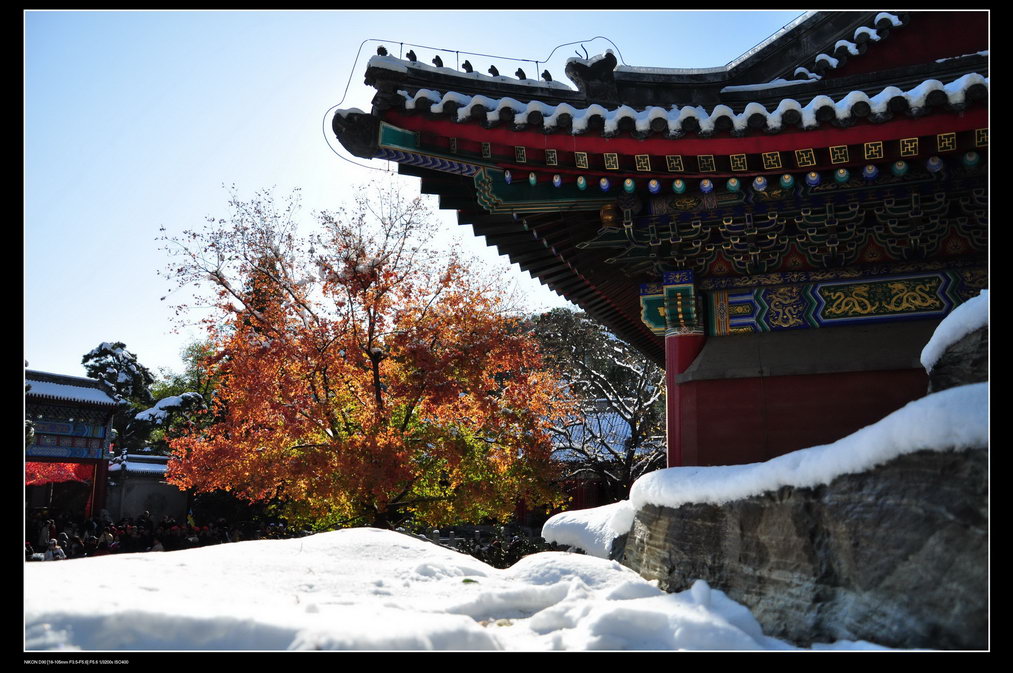 雪后香山小景2 摄影 美景守望者