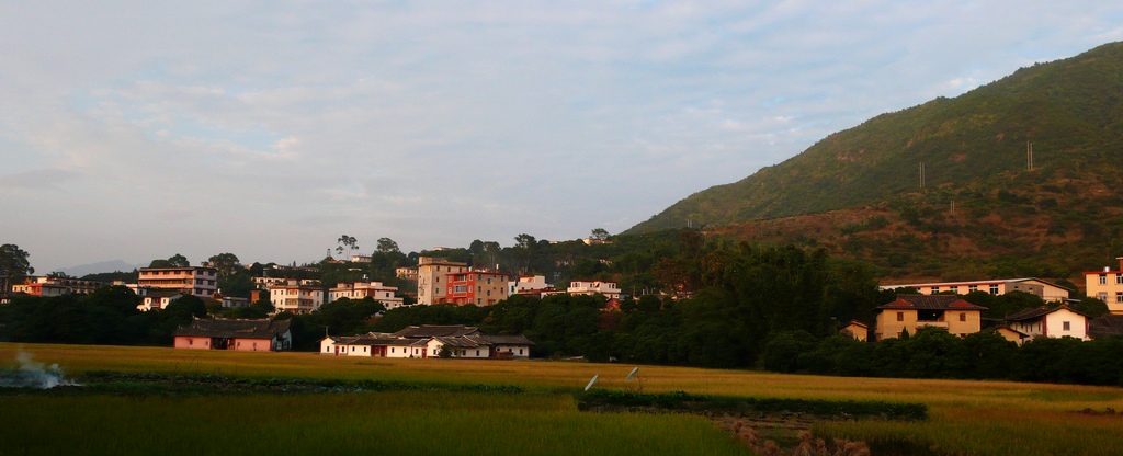 乡间景色 摄影 陈醋