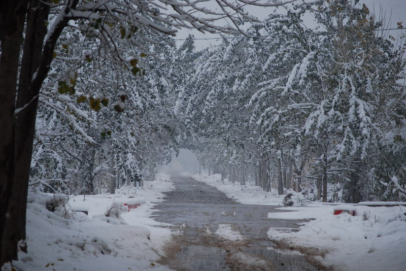 廊坊的第一场雪 摄影 逗自己玩