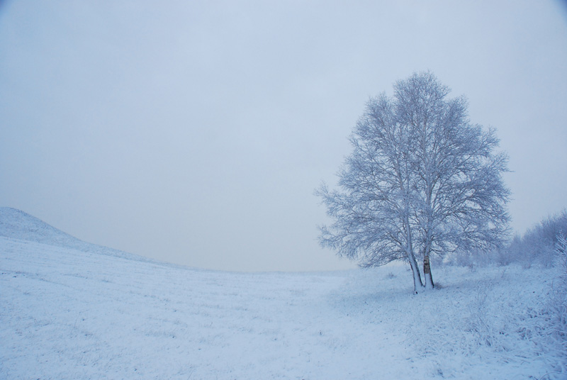 2009年坝上的第一场雪 摄影 胜栋