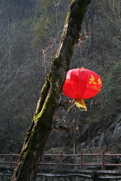 太白山下的红灯笼 摄影 清风出袖