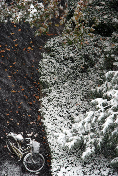 秋雪 摄影 芥末215