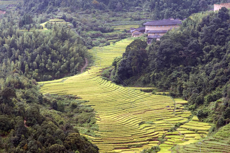 永定土楼 摄影 林绿