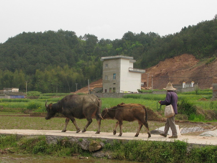 家乡小景 摄影 老尧