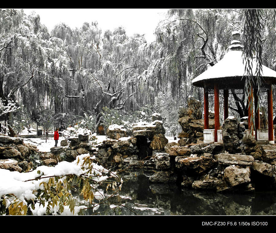 雪中行 摄影 岩影