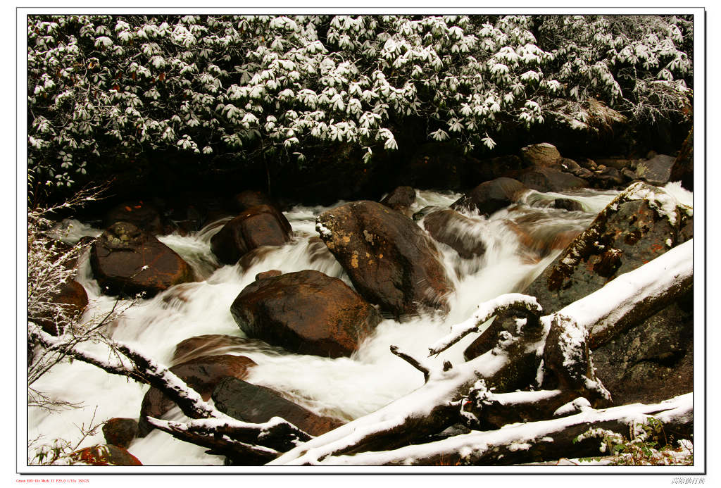 雪中小溪 摄影 高原独行侠