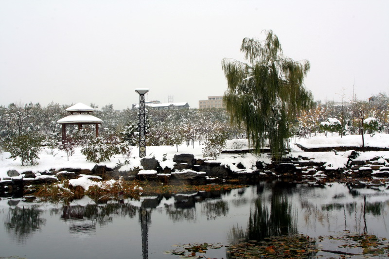 初冬雪霁 摄影 蒿子