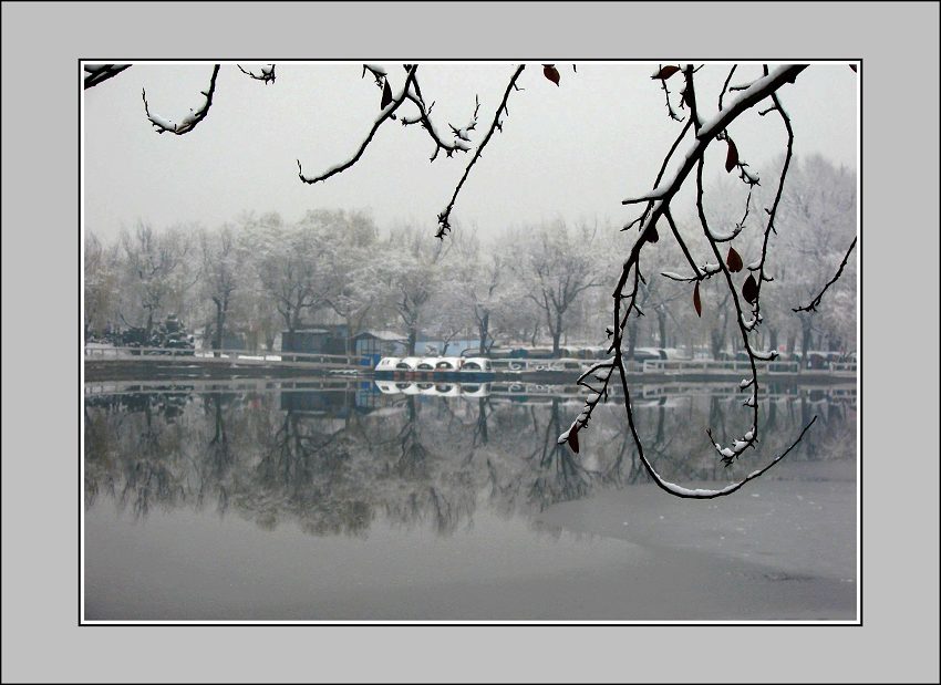 初雪 摄影 苦行僧007