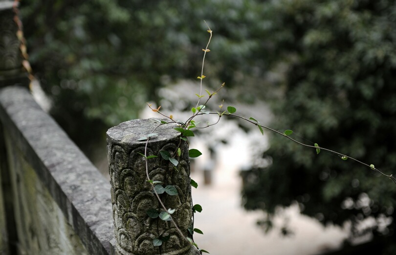 小品 摄影 小飞鸟