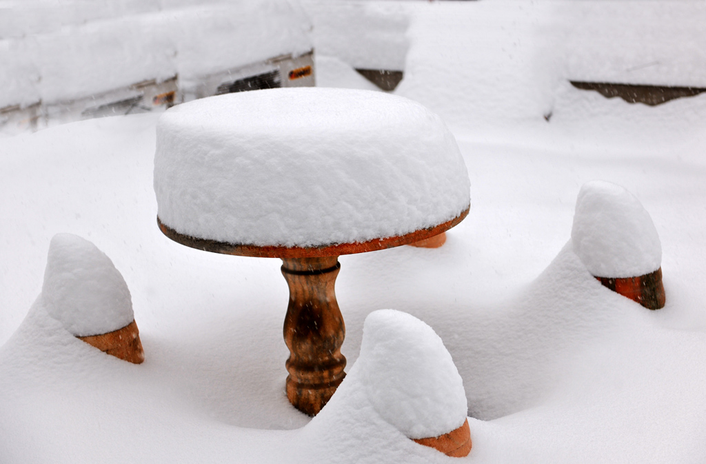 石家庄的雪越下越大了 摄影 康慨