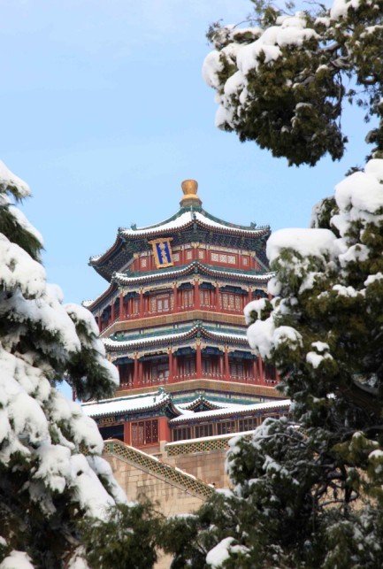 北京颐和园昨天的大雪 摄影 小倩幽人