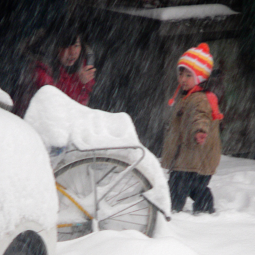 2009年的第一场雪-2 摄影 天元