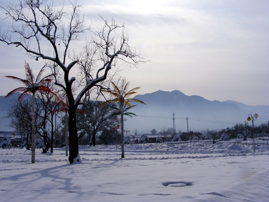 09年北京的第二场雪，雪色的童话  净片 摄影 夜魇惊梦