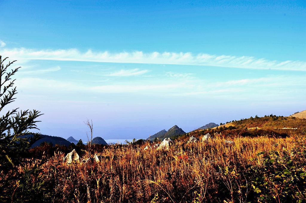 那天 那山 摄影 老胶卷