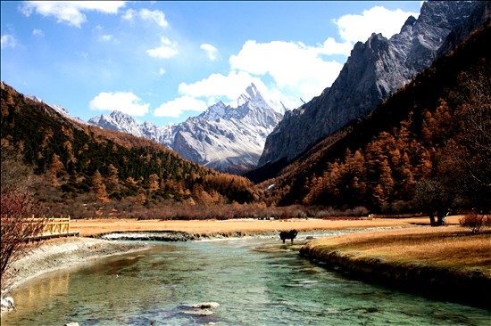 亚丁村的秋天 摄影 野山