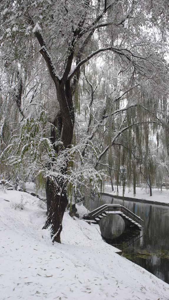 2009年的第一场雪 摄影 百威啤酒