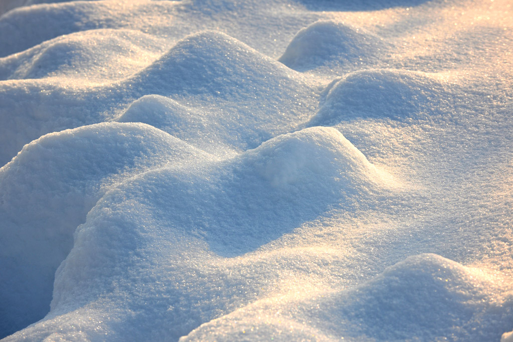 雪 摄影 康慨