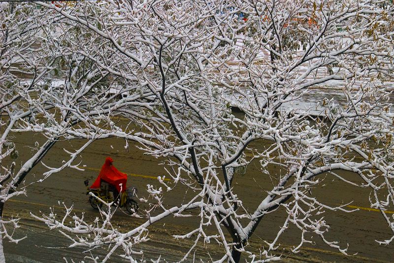 2009年的第一场雪 摄影 低烧老色友