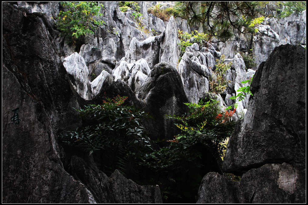 石中景 摄影 武文ABC