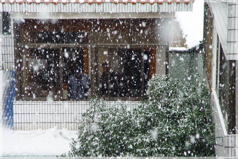 大雪纷飞 摄影 网上孤雁