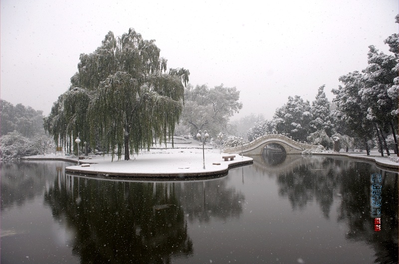 下雪啦 摄影 春流漱玉