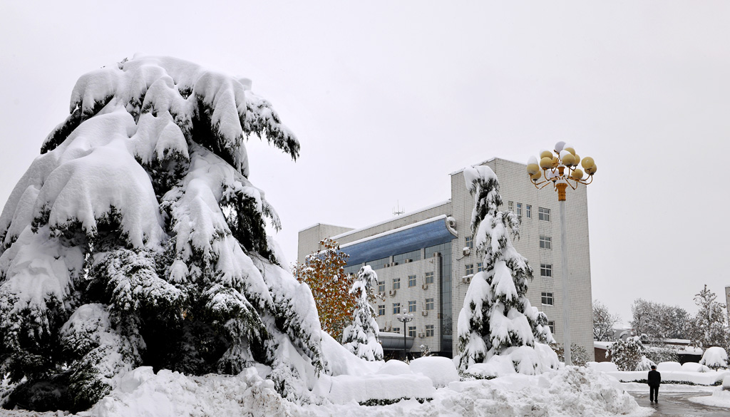 雪2 摄影 康慨