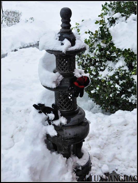 大雪 摄影 舞处不再