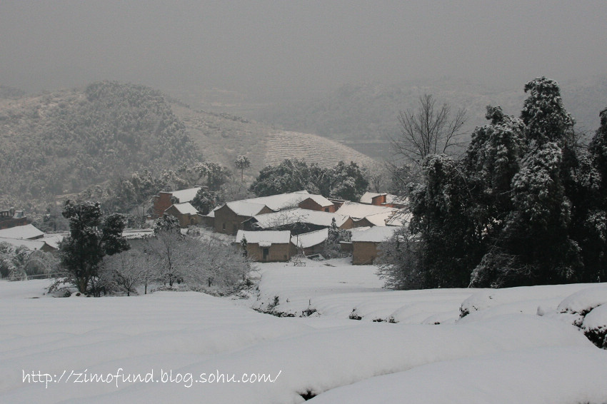 2008年的那场雪 摄影 zimo