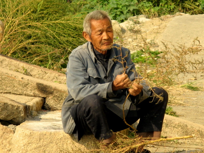 乡村老人 摄影 傻大庆