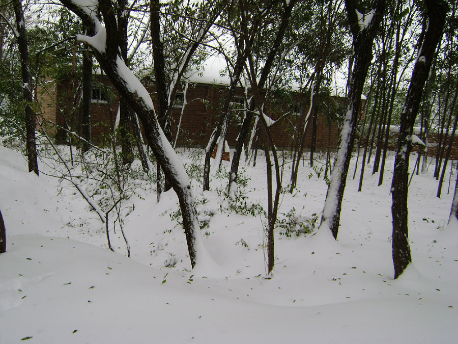 09/一场大雪 摄影 tangao