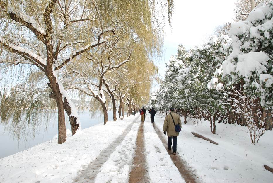 北京又下大雪了 摄影 花皮蛇