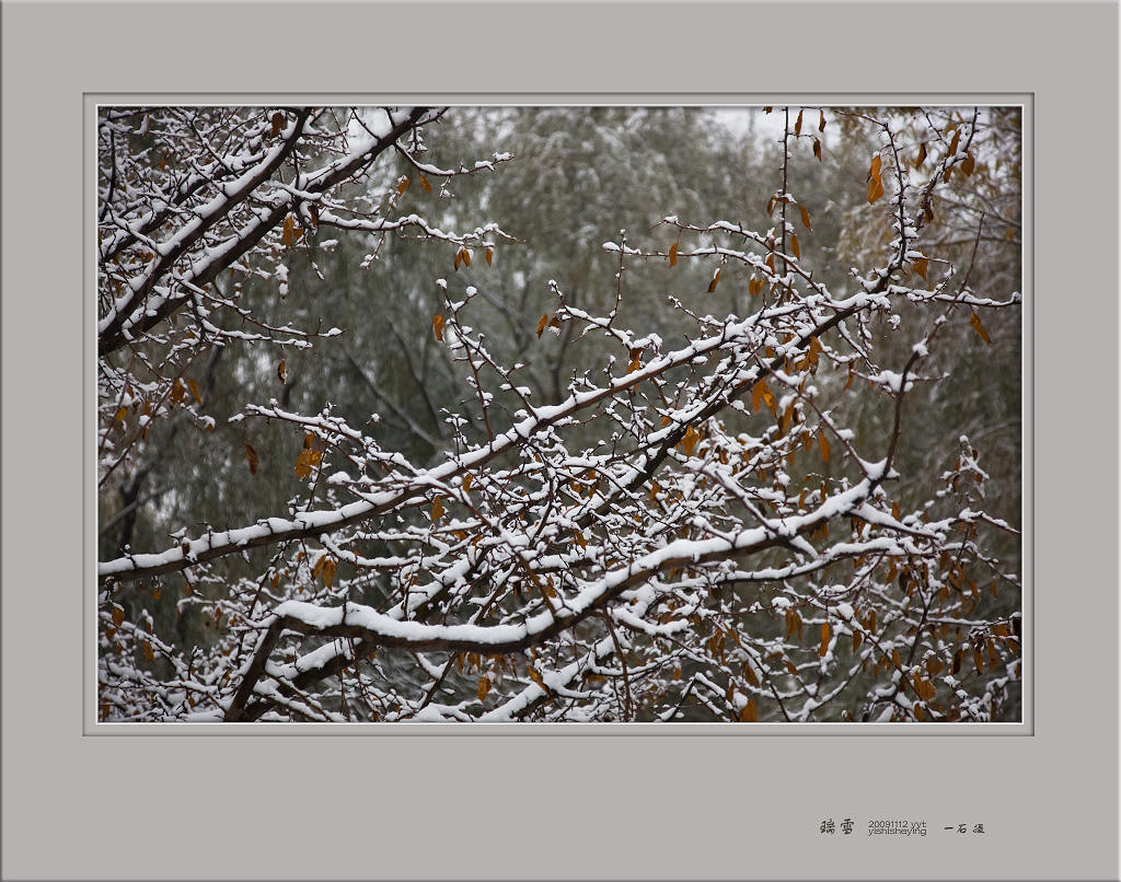 瑞雪 摄影 一石