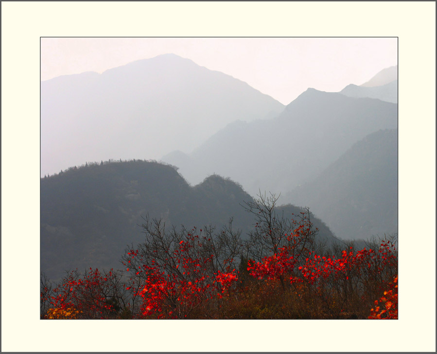 关山秋色 摄影 游马