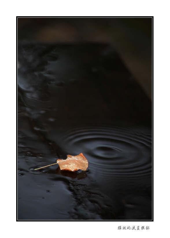 雨中的长凳 摄影 朦胧的淡蓝