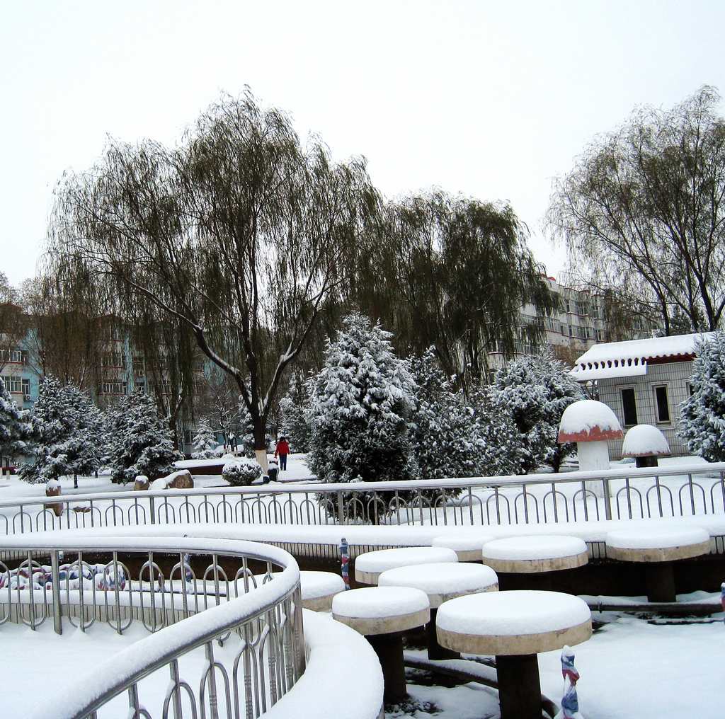 第三场大雪 摄影 物价局