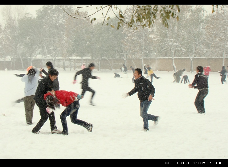 打雪仗 摄影 鸽子鱼