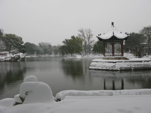 雪 摄影 shanmin