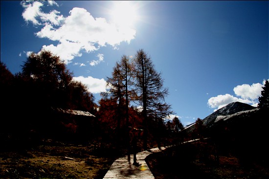 高原之光 摄影 野山