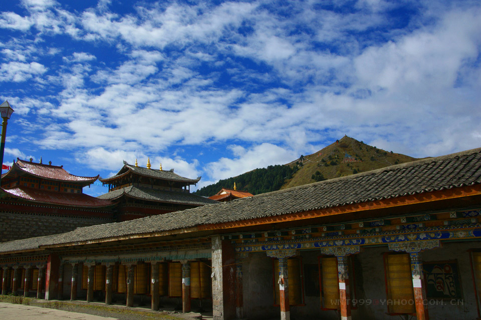 走近塔公寺 摄影 沙弛